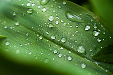 Similar image 2884408