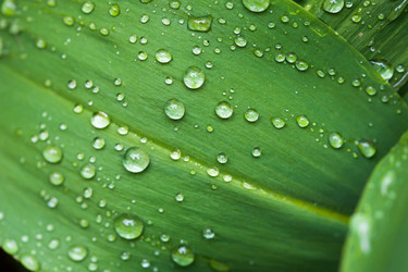 Similar image 2884413