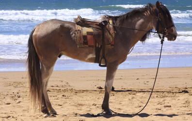 Similar image 2884423