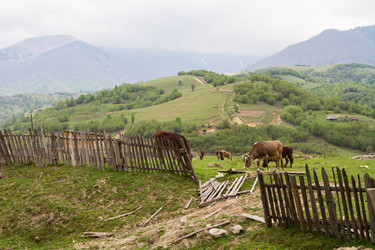 Similar image 2884456