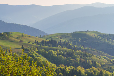 Similar image 2884457