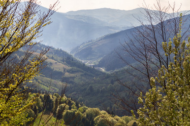 Similar image 2884459