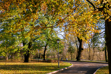 Similar image 2884473