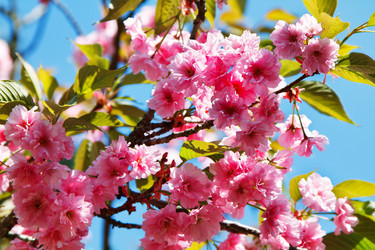 Similar image 2884477