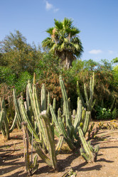 Similar image 2884515