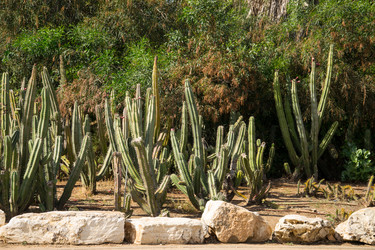 Similar image 2884517