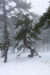 Similar image 2884562