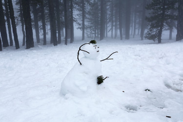 Similar image 2884563