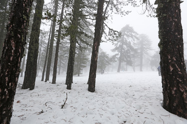 Similar image 2884565