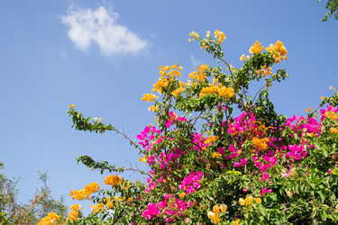 Similar image 2884571