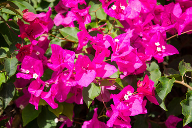 Similar image 2884573