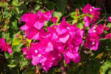 Similar image 2884574