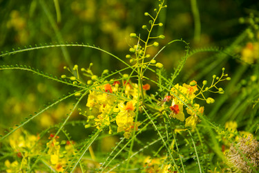 Similar image 2884575