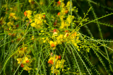 Similar image 2884576