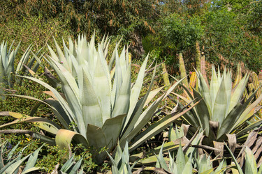 Similar image 2884578