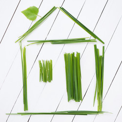 Similar image 2884716