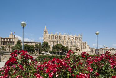 Similar image 2884808