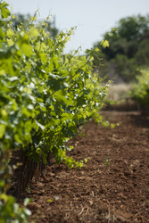 Similar image 2884814