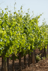 Similar image 2884815