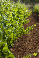 Similar image 2884817