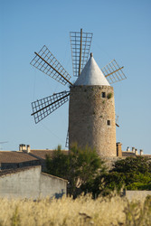 Similar image 2884818