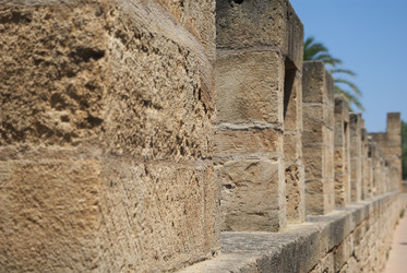 Similar image 2884822