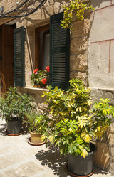 Similar image 2884827