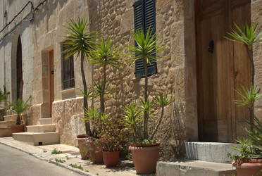 Similar image 2884832