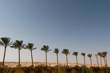 Similar image 2884867