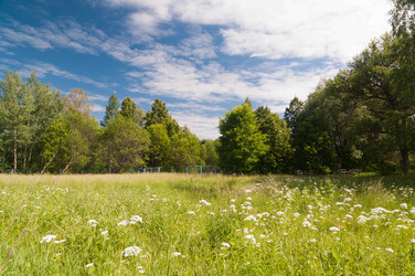 Similar image 2884872