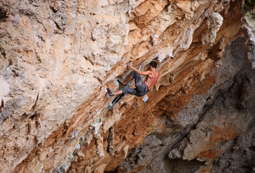 Similar image 2884902