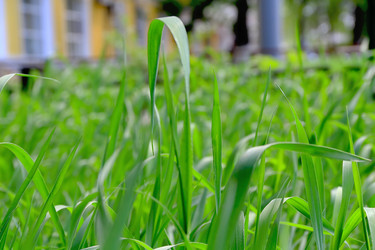 Similar image 2884938