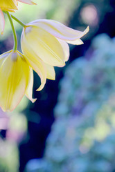 Similar image 2884943