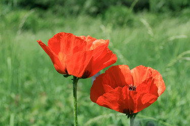 Similar image 2884949