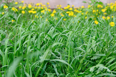 Similar image 2884951