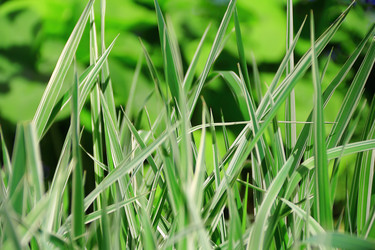 Similar image 2884954