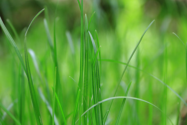 Similar image 2884958