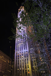 Similar image 2885039