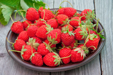 Similar image 2885125