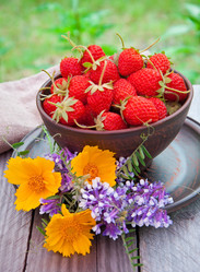 Similar image 2885127