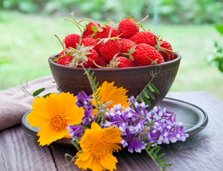 Similar image 2885138