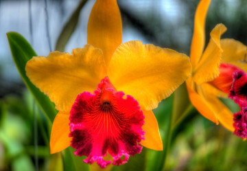 Similar image 2885179