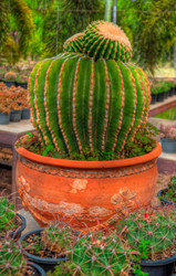 Similar image 2885180