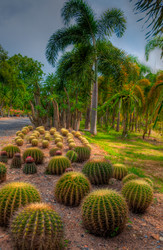 Similar image 2885181