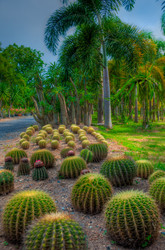 Similar image 2885182