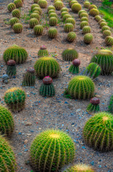 Similar image 2885183