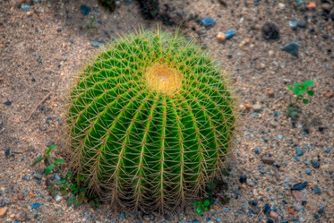 Similar image 2885184