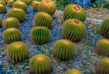 Similar image 2885187