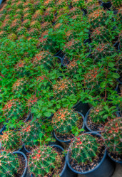 Similar image 2885188