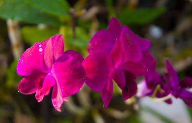 Similar image 2885189